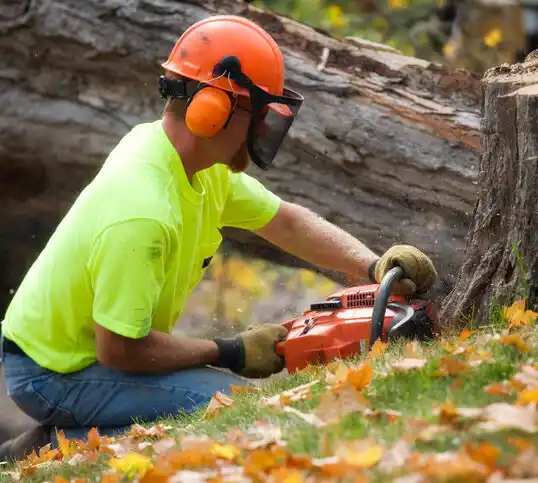 tree services Wadesboro